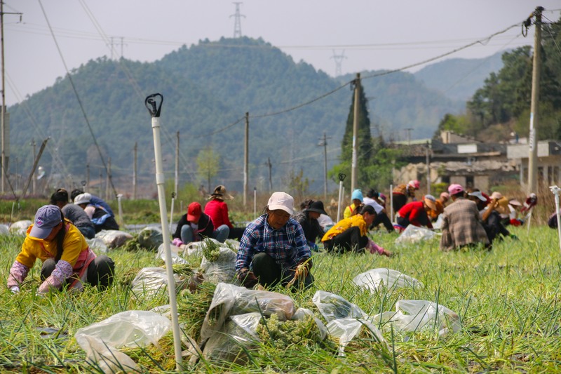 九游娱乐这种锻炼不可取！茂名有人在公园“倒挂金钟”出现意外(图1)